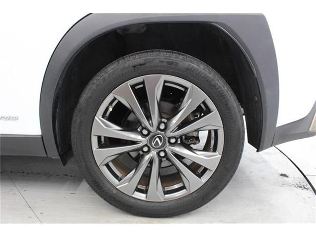 LEXUS UX250h