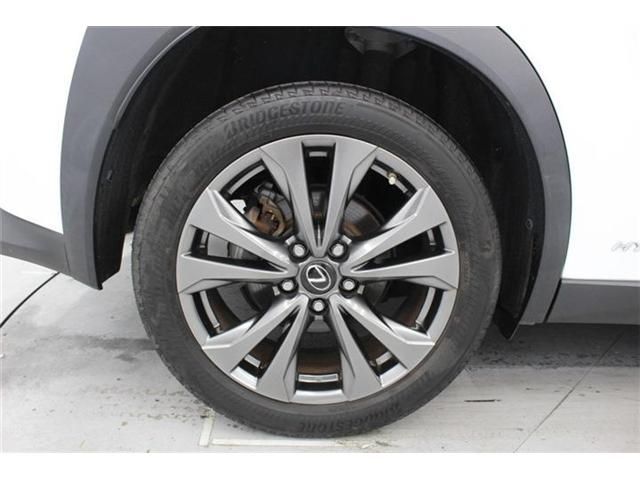 LEXUS UX250h