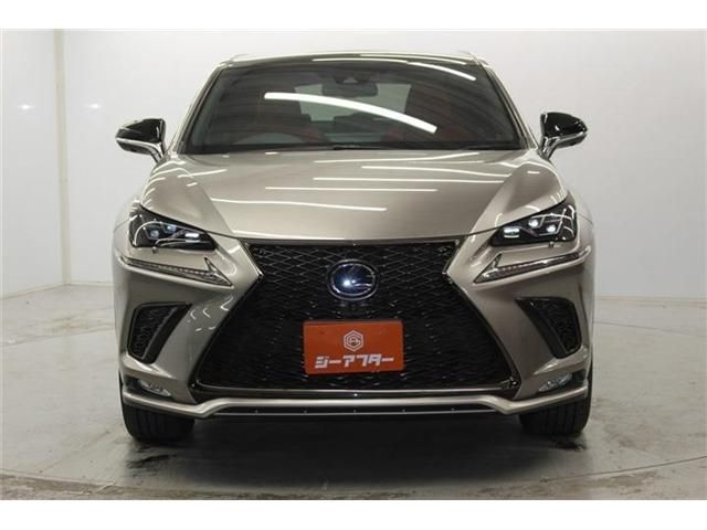 LEXUS NX300h
