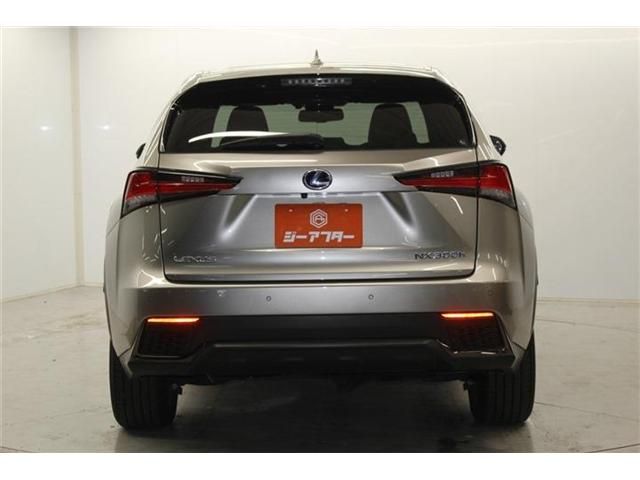LEXUS NX300h