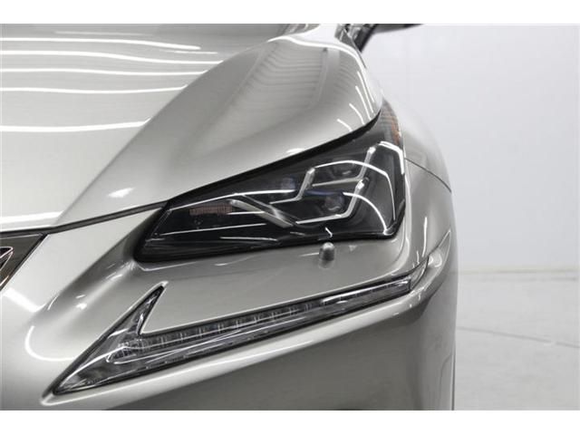 LEXUS NX300h