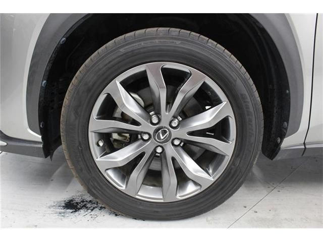LEXUS NX300h