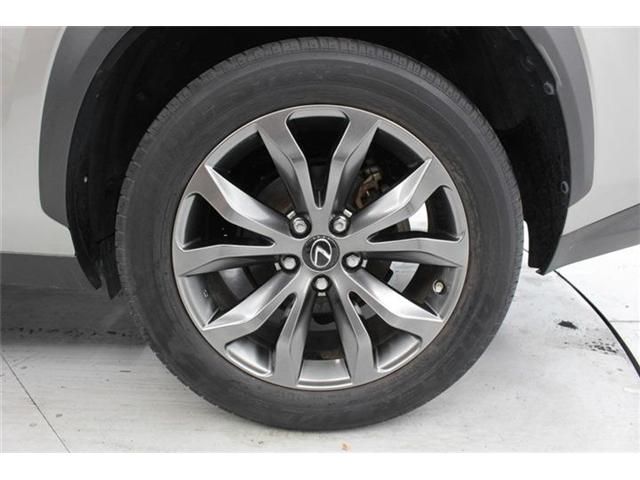LEXUS NX300h