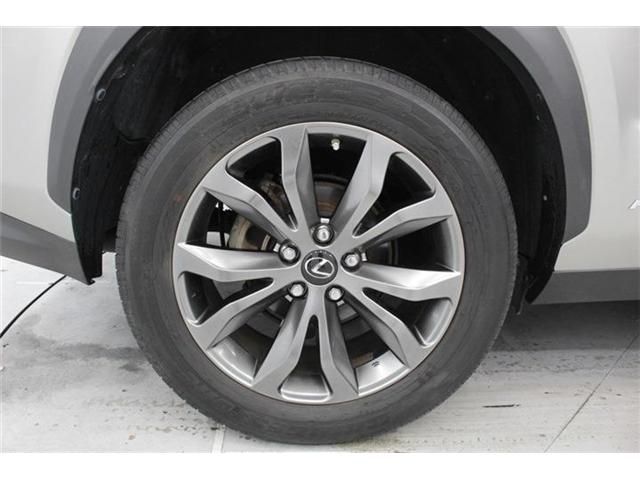 LEXUS NX300h