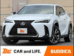 LEXUS UX250h