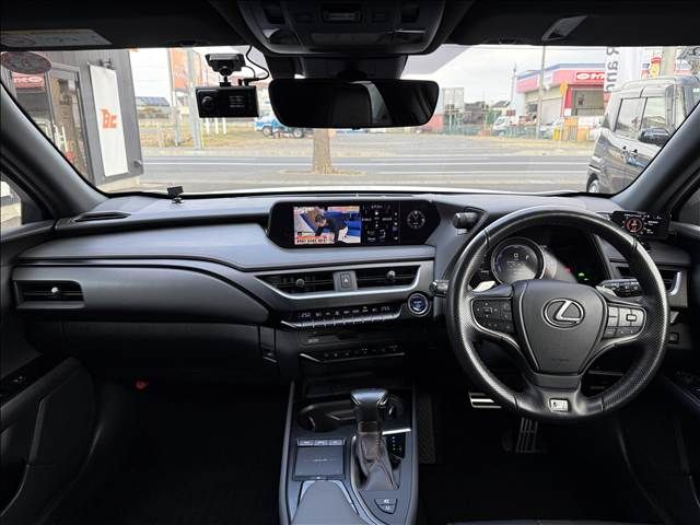 LEXUS UX250h