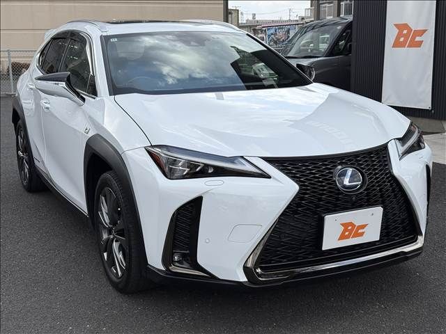 LEXUS UX250h