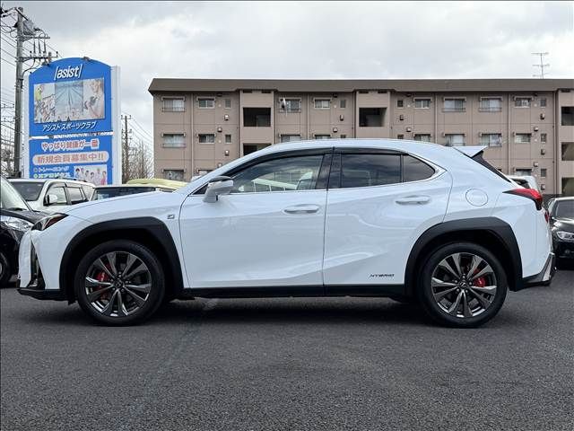 LEXUS UX250h