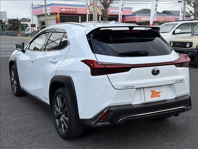 LEXUS UX250h