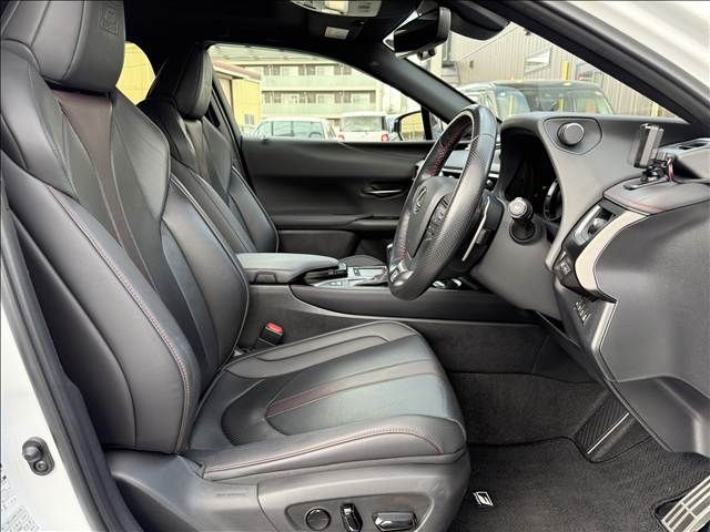 LEXUS UX250h