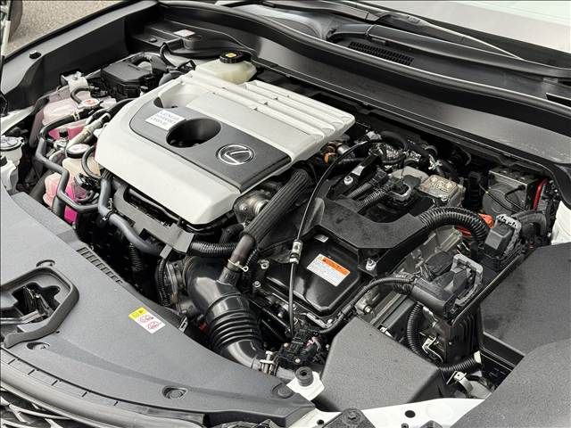 LEXUS UX250h