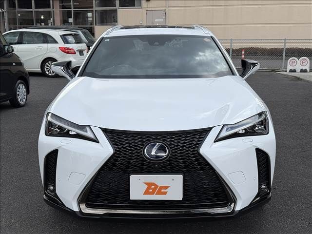 LEXUS UX250h