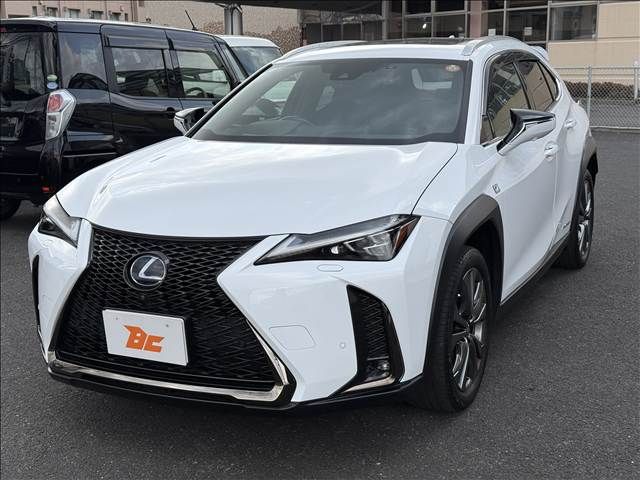 LEXUS UX250h