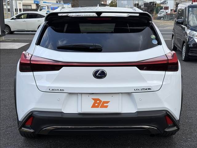 LEXUS UX250h