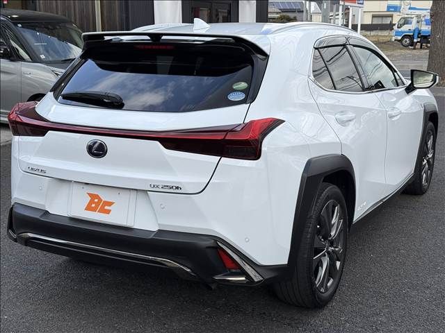 LEXUS UX250h