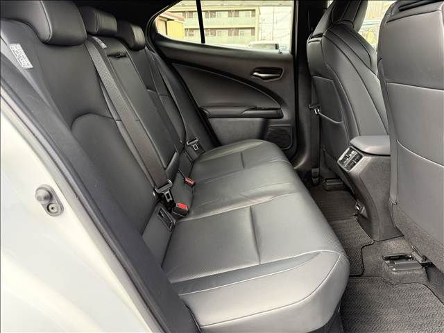 LEXUS UX250h