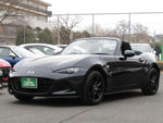 ROADSTER