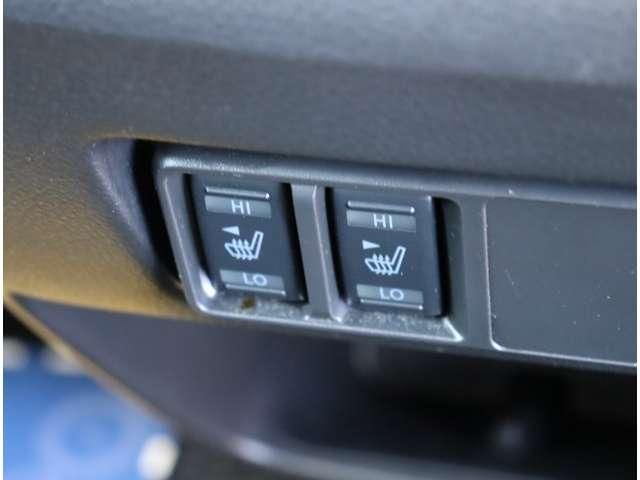 CARAVAN van 4WD