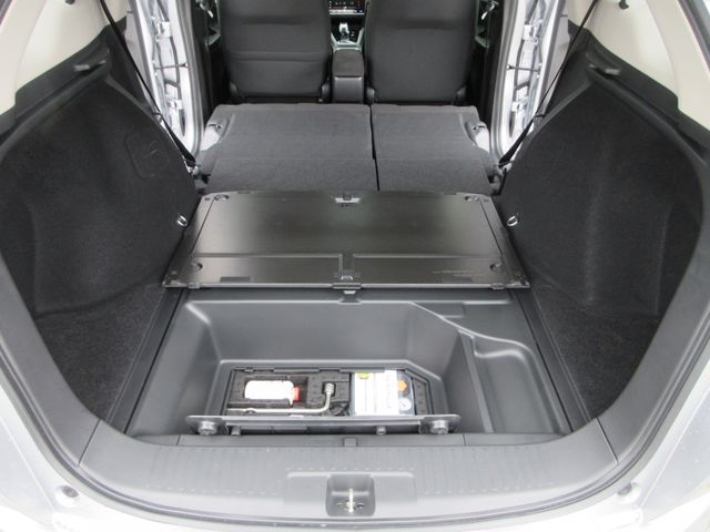 SHUTTLE HYBRID
