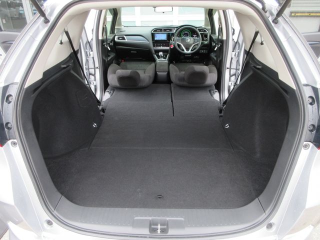 SHUTTLE HYBRID