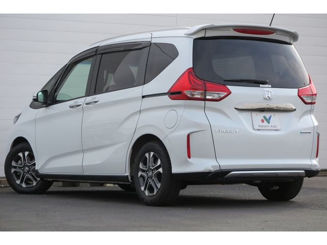 FREED plus HYBRID