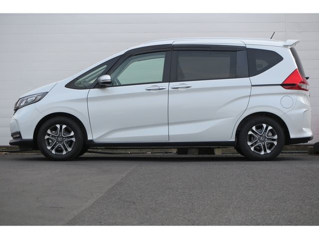 FREED plus HYBRID