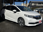 SHUTTLE HYBRID