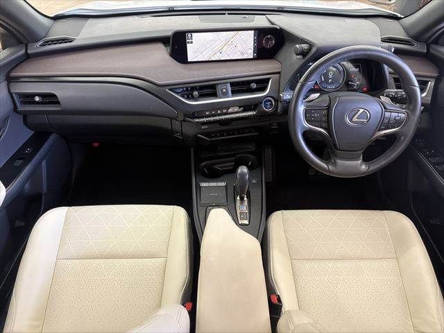 LEXUS UX300e