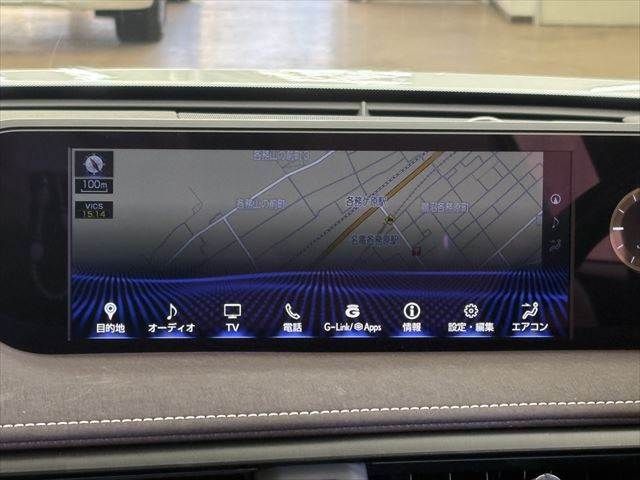 LEXUS UX300e
