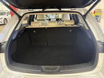 LEXUS UX300e