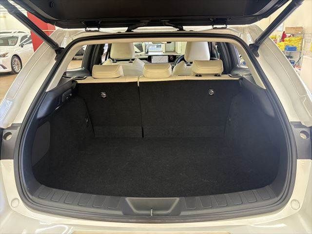 LEXUS UX300e