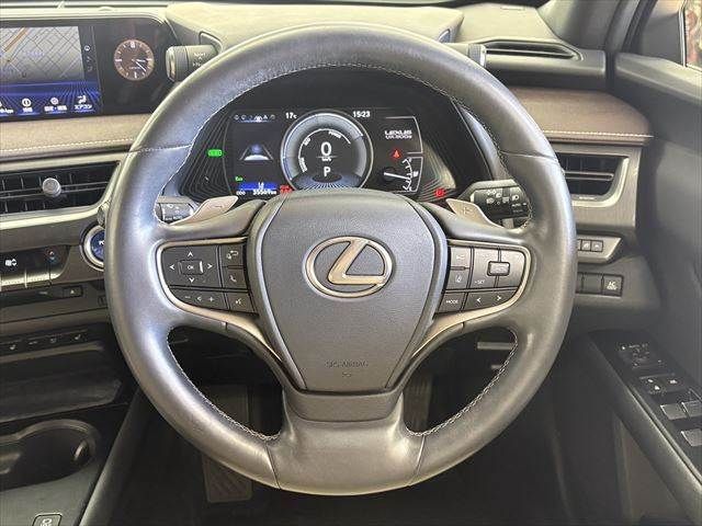LEXUS UX300e