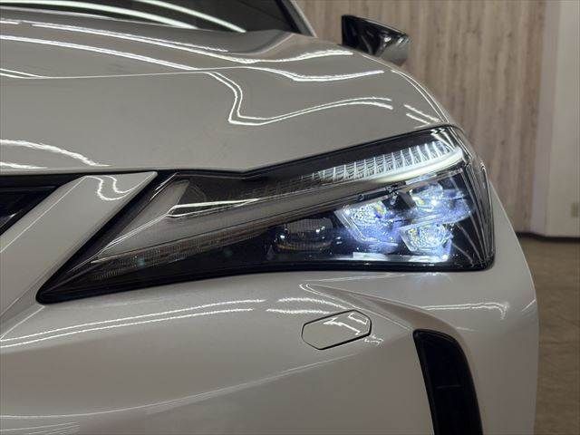 LEXUS UX300e