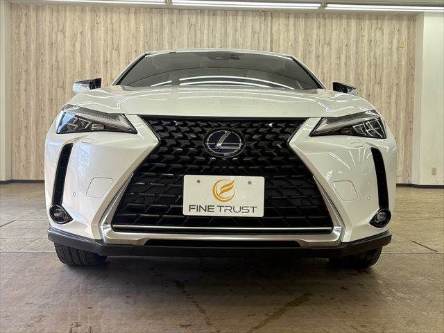 LEXUS UX300e