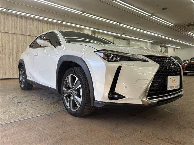 LEXUS UX300e