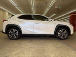 LEXUS UX300e