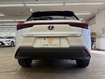 LEXUS UX300e