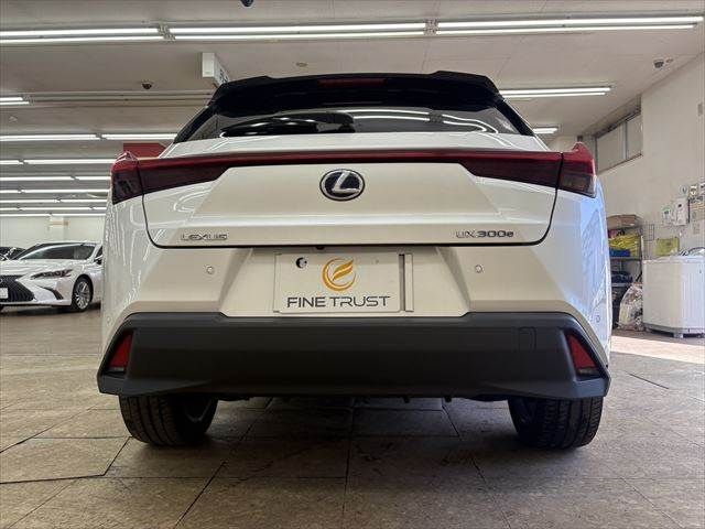 LEXUS UX300e