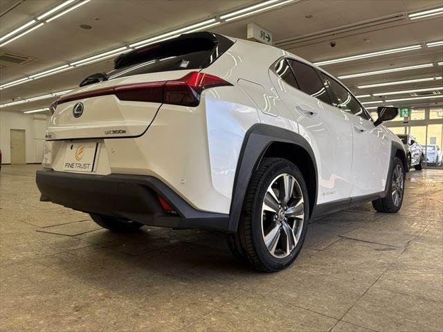 LEXUS UX300e