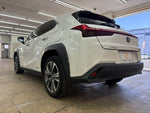 LEXUS UX300e