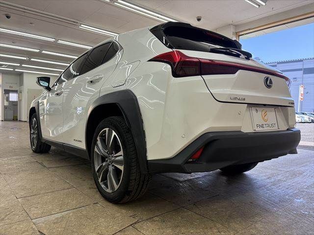 LEXUS UX300e