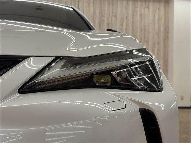 LEXUS UX300e