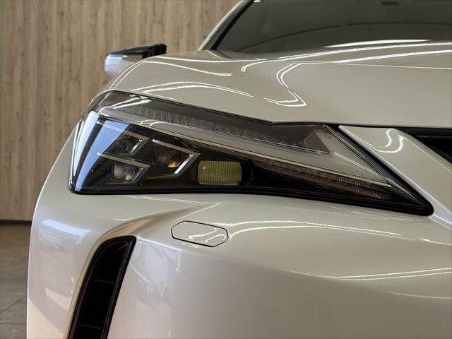 LEXUS UX300e