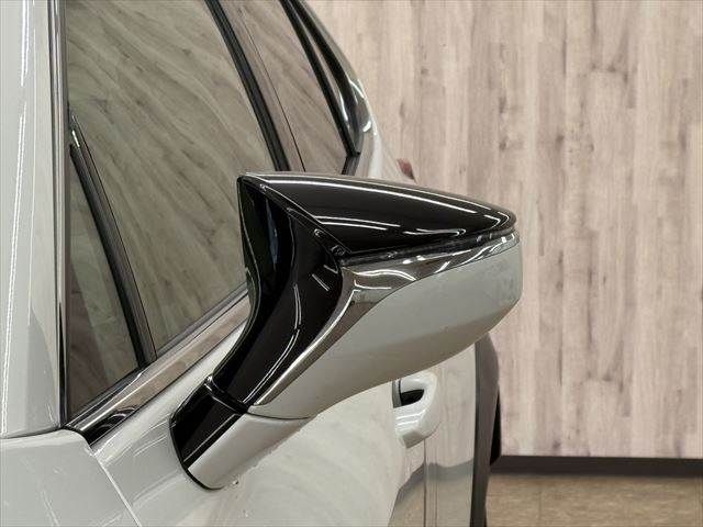 LEXUS UX300e