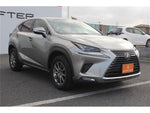 LEXUS NX300