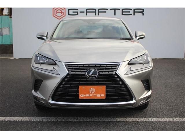 LEXUS NX300