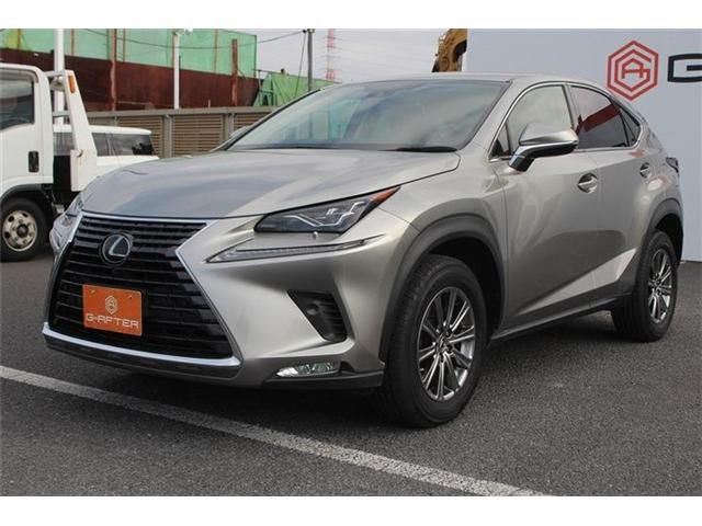LEXUS NX300