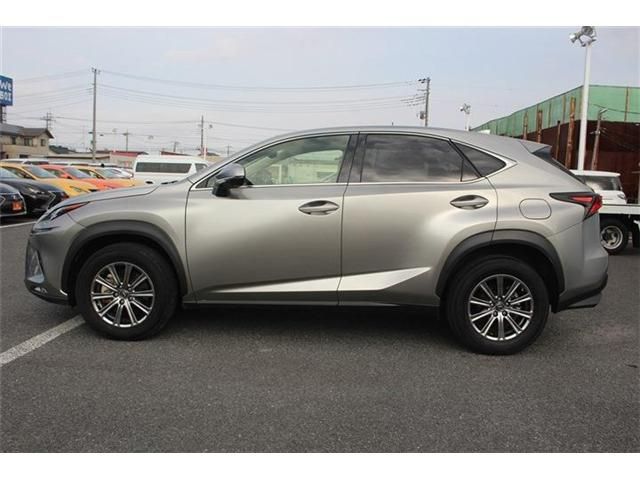 LEXUS NX300