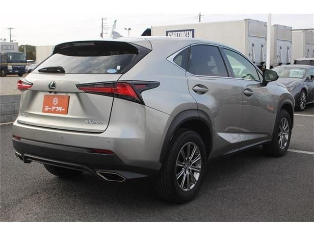 LEXUS NX300