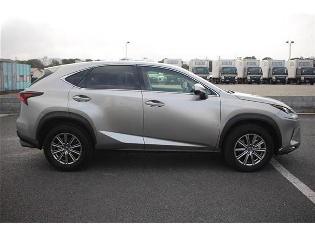 LEXUS NX300
